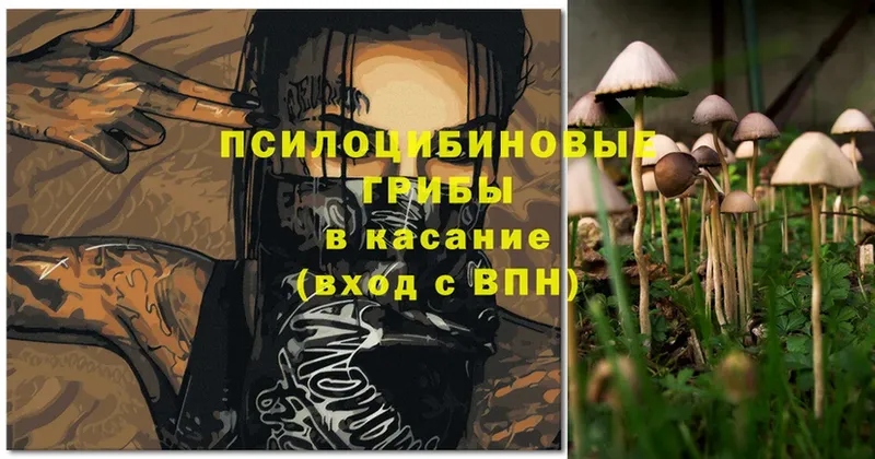 Псилоцибиновые грибы Magic Shrooms  мега онион  Кукмор 